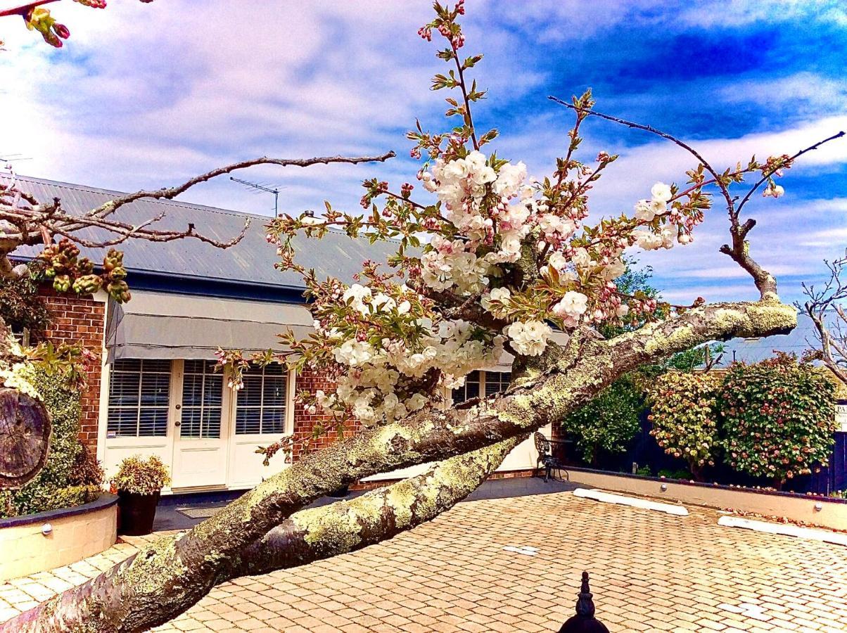 Kurrajong House Bed and Breakfast Launceston Eksteriør billede